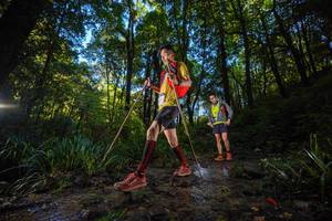 BIB: 
                            <button type="button" onclick="openModal(19230292)" class="btn btn-primary btn-sm float-right btn-popup" data-toggle="modal" data-target=".modal-high-quality">
                        <i class="fas fa-shopping-cart"></i> Add to Cart
                    </button>
                                            <button type="button" onclick="isThisMe(19230292, true)" class="btn btn-success btn-sm float-right btn-popup btn-isme hidden" data-toggle="tooltip" data-placement="bottom" title="นี่คือรูปของคุณใช่ไหม คลิกที่นี่เพื่อเอาเข้าอัลบั้ม">
                        <i class="fas fa-plus"></i> Add to album
                    </button>
                    <button type="button" onclick="isThisMe(19230292, false)" class="btn btn-warning btn-sm float-right btn-popup btn-isnotme hidden">
                        <i class="fas fa-ban"></i> Remove from album
                    </button>